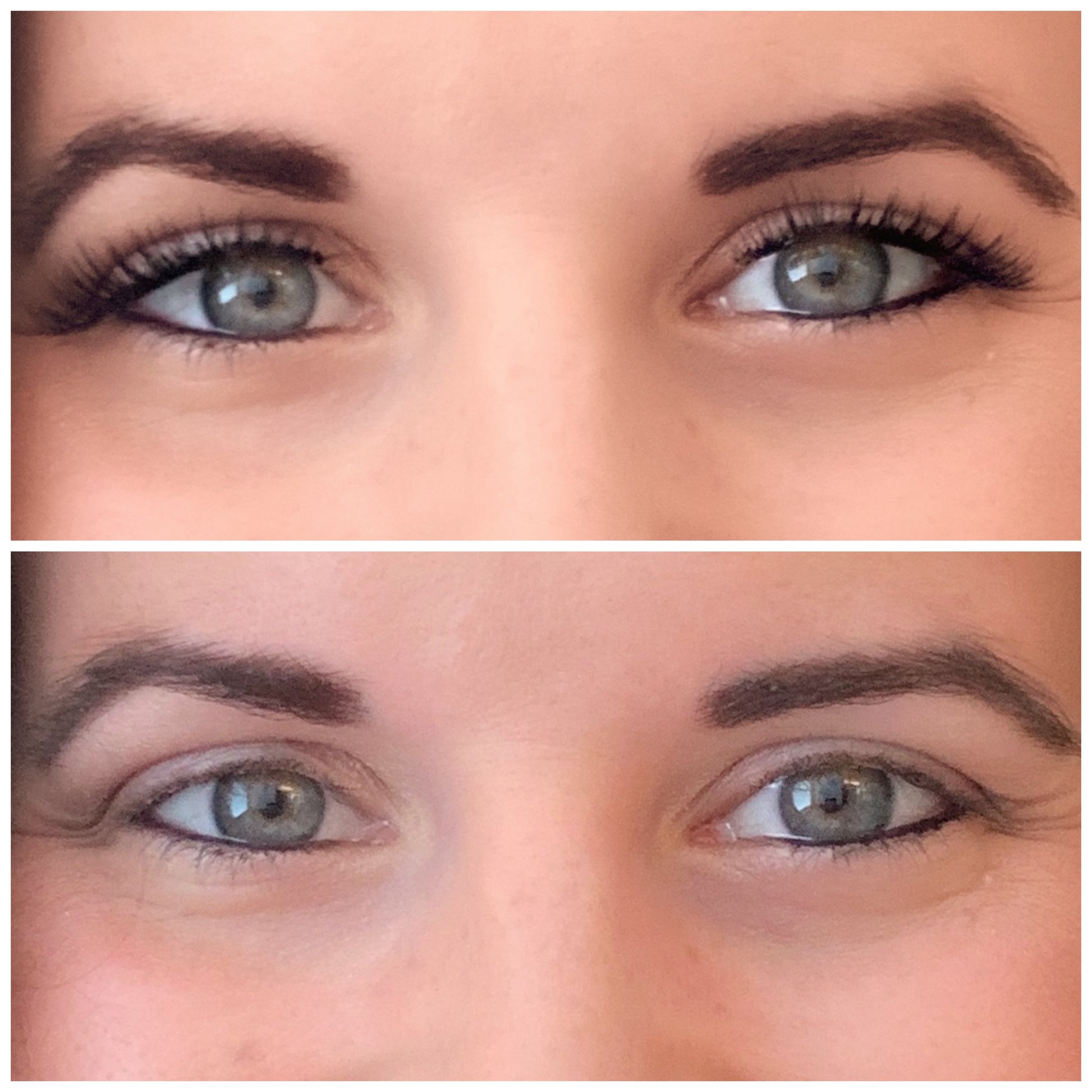 Everyday LashLoop